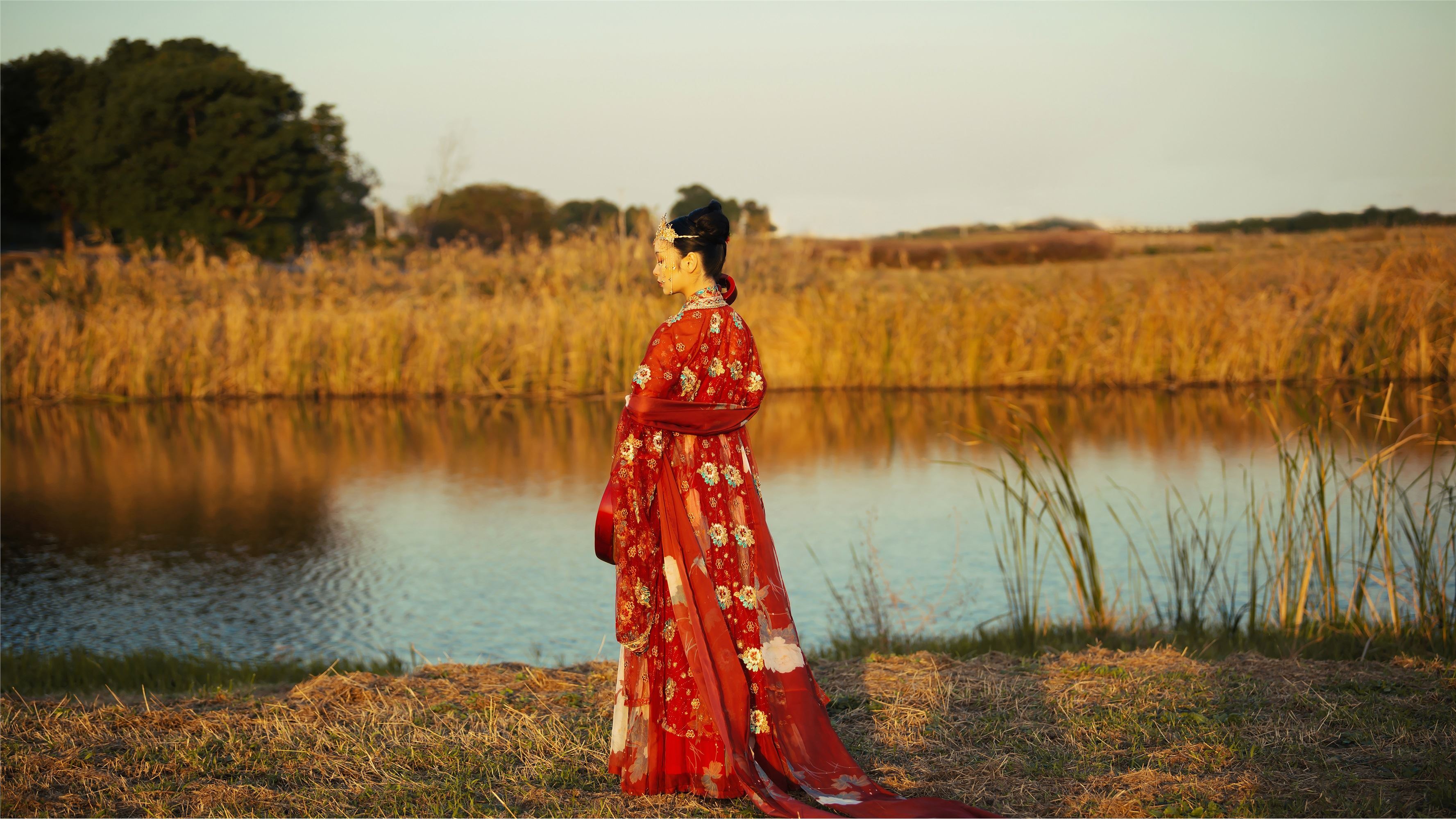 YITUYU Yi, 21.07.19 Reeds are keskeshi at night